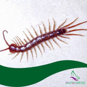 سمپاشی هزارپا